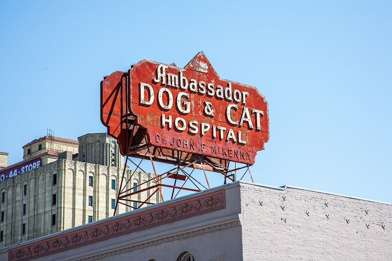 Ambassador Dog & Cat Hospital