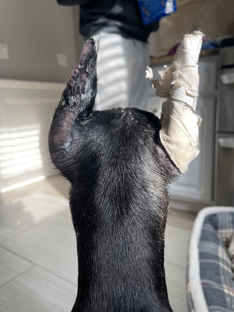 Bree's Animal Hospital