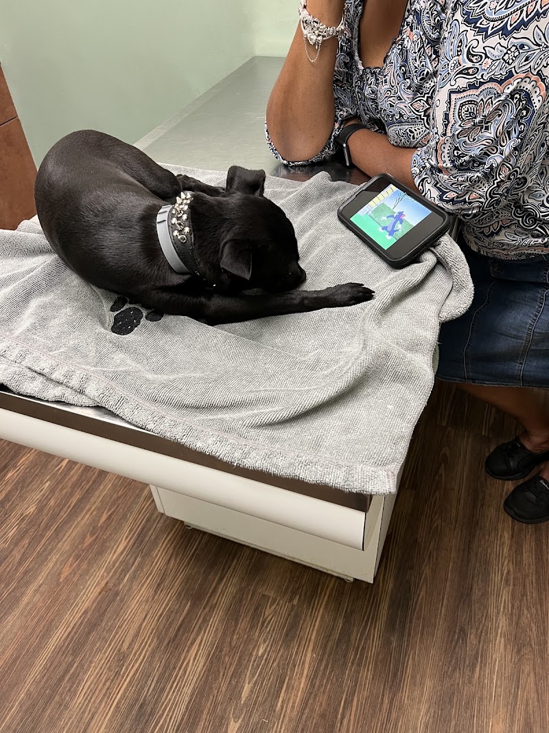 Bree's Animal Hospital
