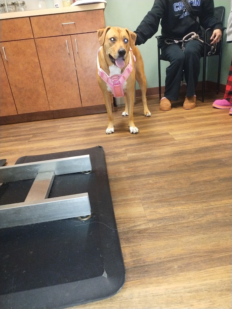 Bree's Animal Hospital