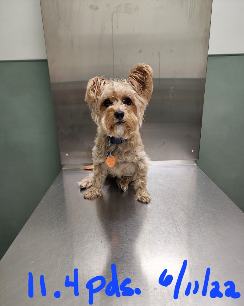 Bree's Animal Hospital
