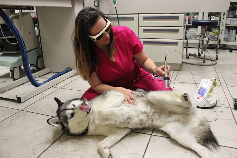 Parktown Veterinary Clinic