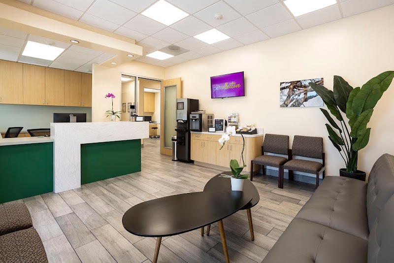 Animal Orthopedic Center