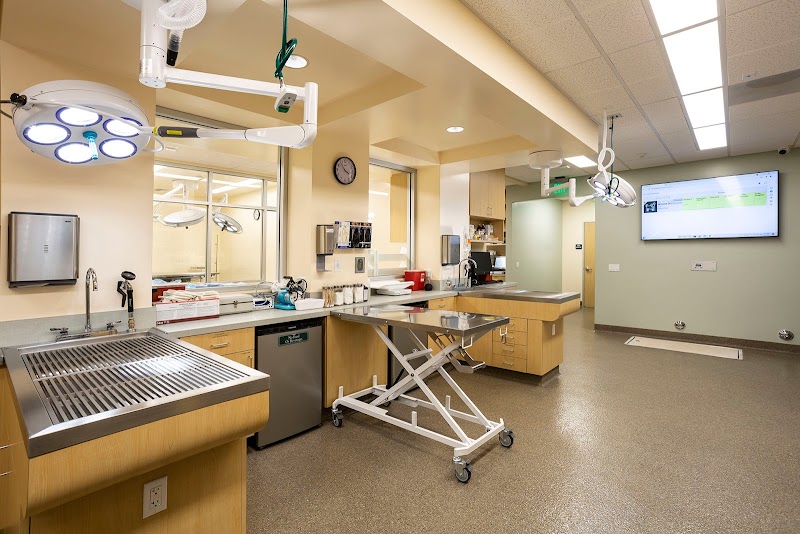 Animal Orthopedic Center