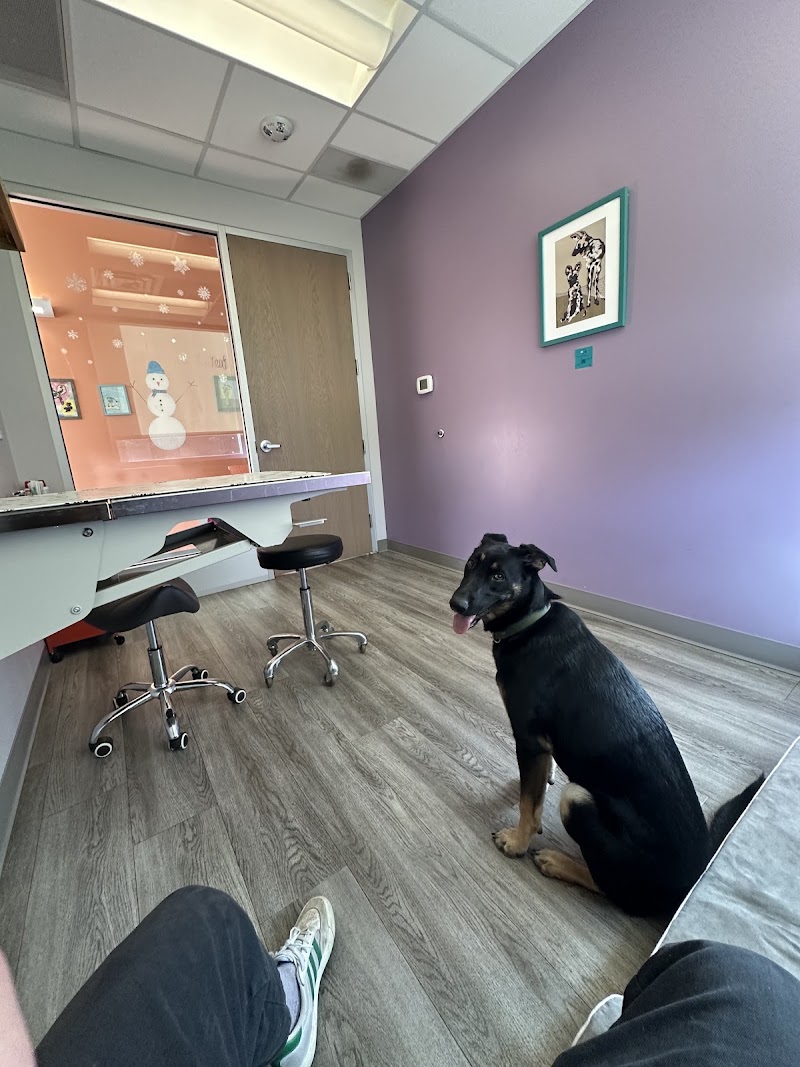 Urban Paw Veterinary Health and Rehabilitation