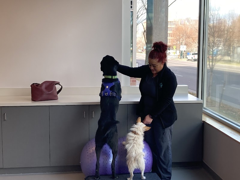 Urban Paw Veterinary Health and Rehabilitation