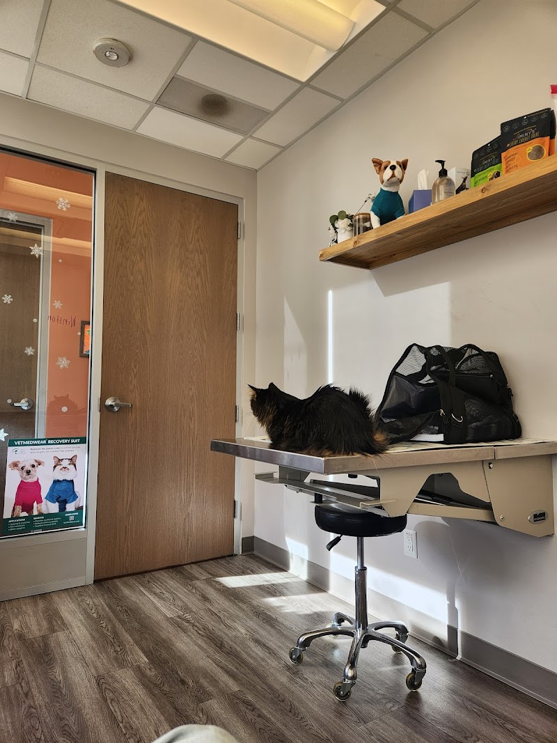 Urban Paw Veterinary Health and Rehabilitation