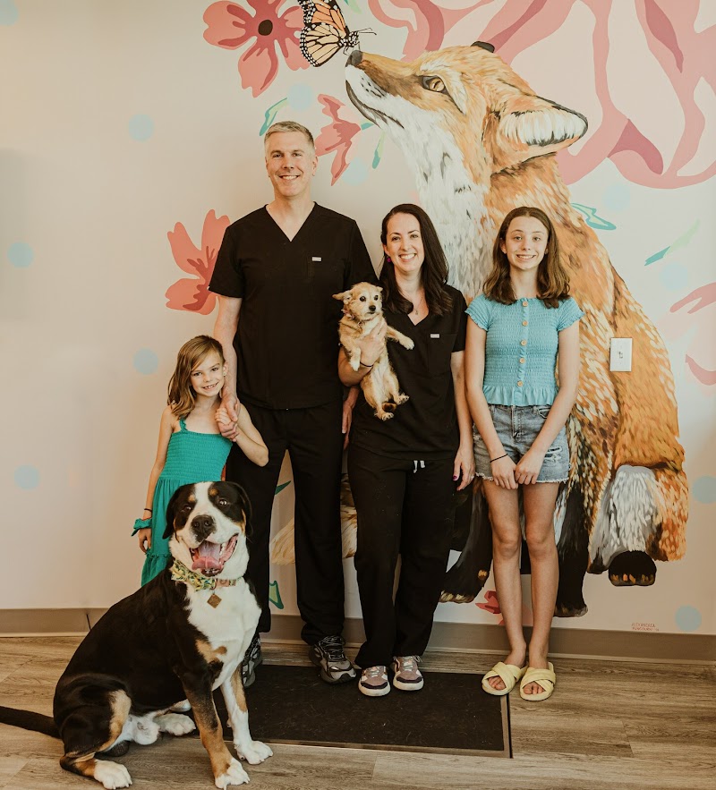 Urban Paw Veterinary Health and Rehabilitation