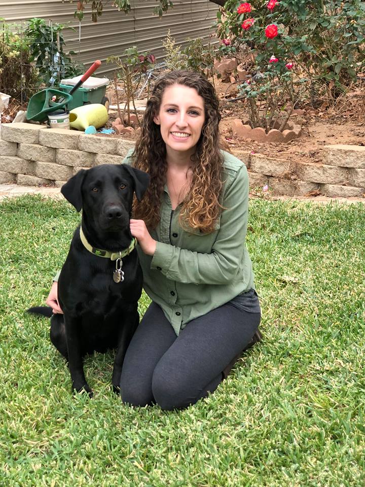 College Animal Hospital