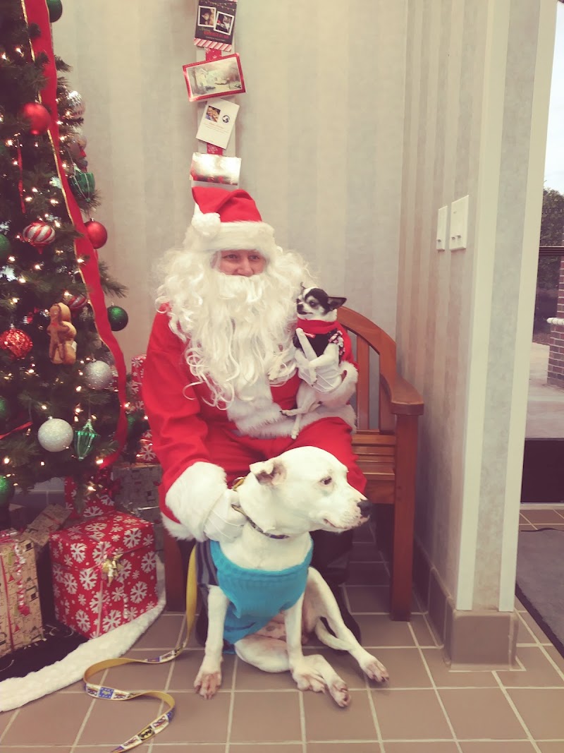 West Houston Veterinary Medical Associates