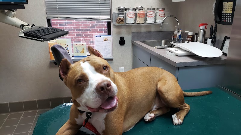 West Houston Veterinary Medical Associates