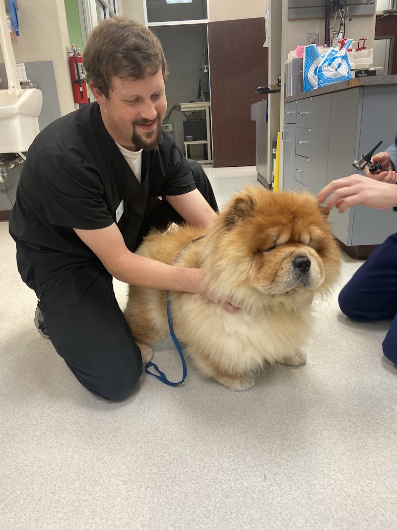 West Houston Veterinary Medical Associates