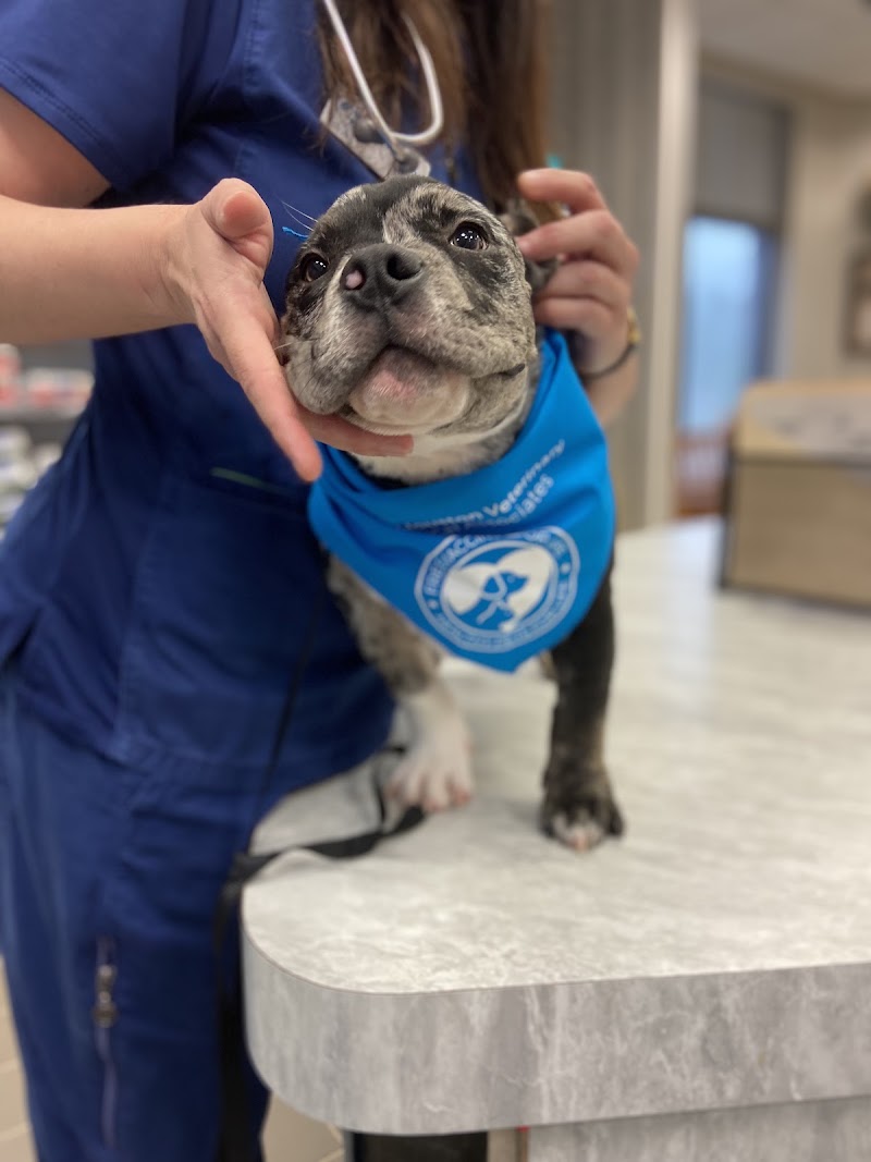 West Houston Veterinary Medical Associates