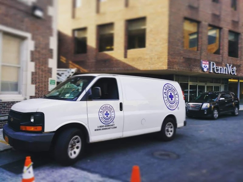 AmbuVet Pet Ambulance