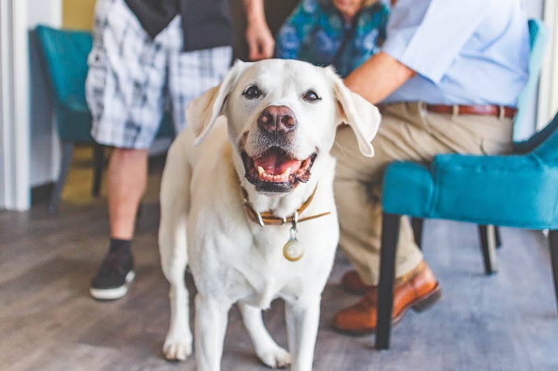 Crestview Veterinary Clinic