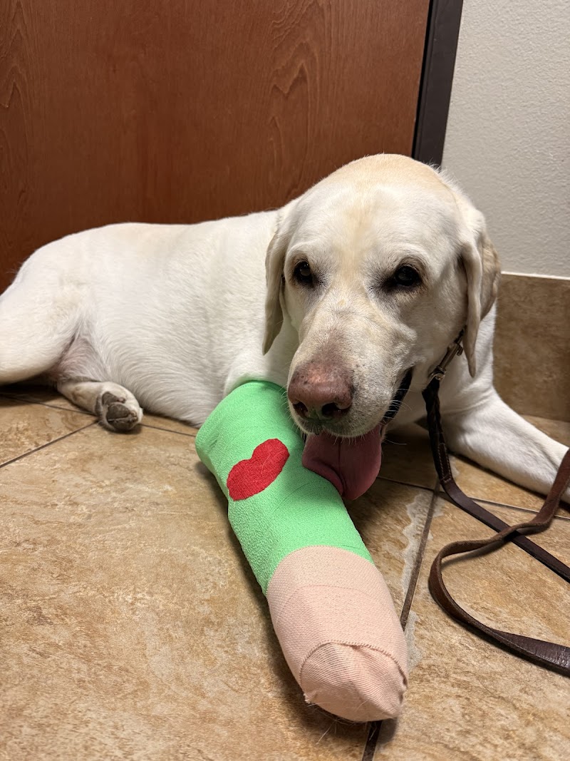 North Dallas Veterinary Hospital