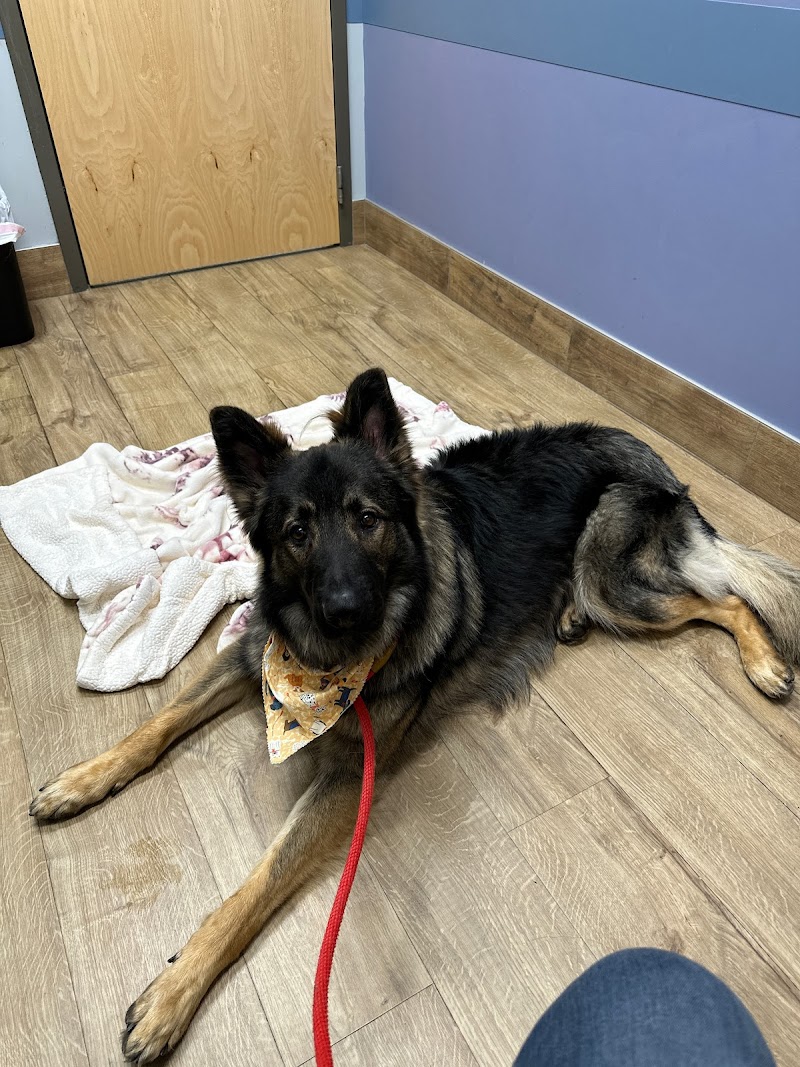 Eastern Pennsylvania Veterinary Medical Center