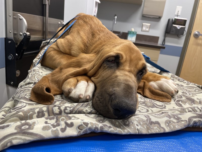 Eastern Pennsylvania Veterinary Medical Center