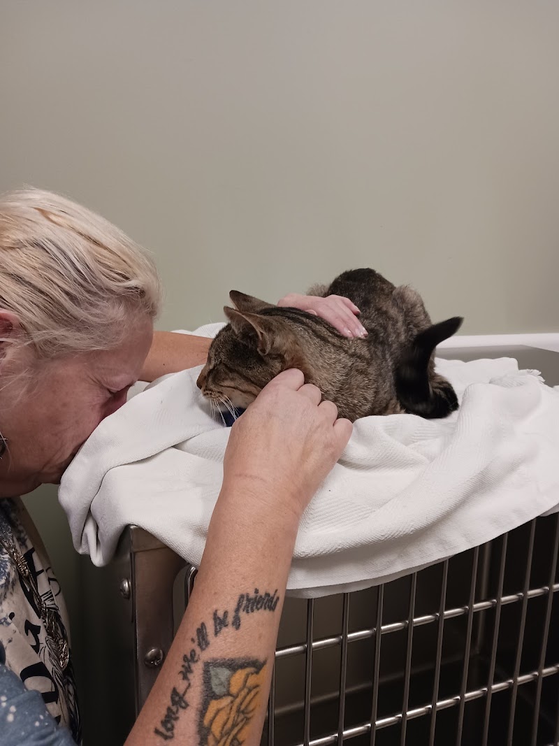 Cornell University Hospital for Animals
