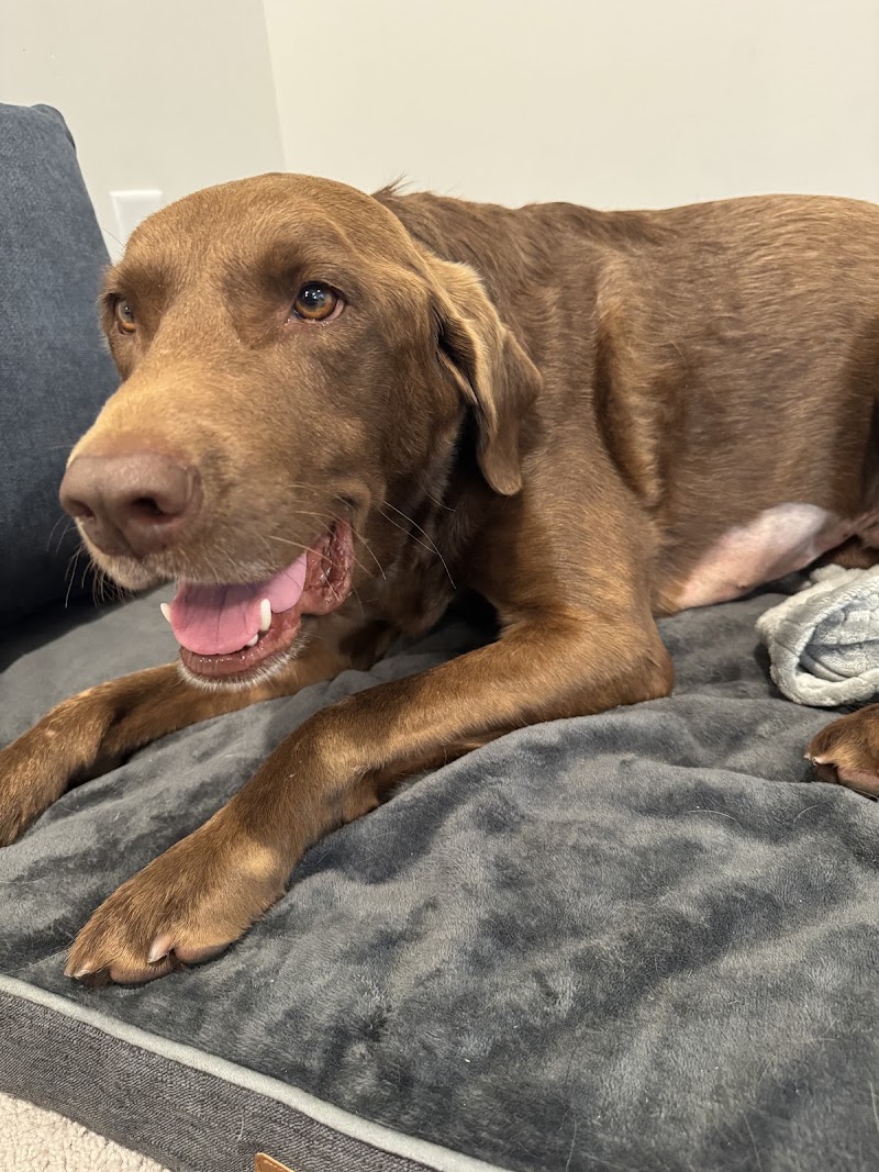 Mission Animal Hospital - Eden Prairie