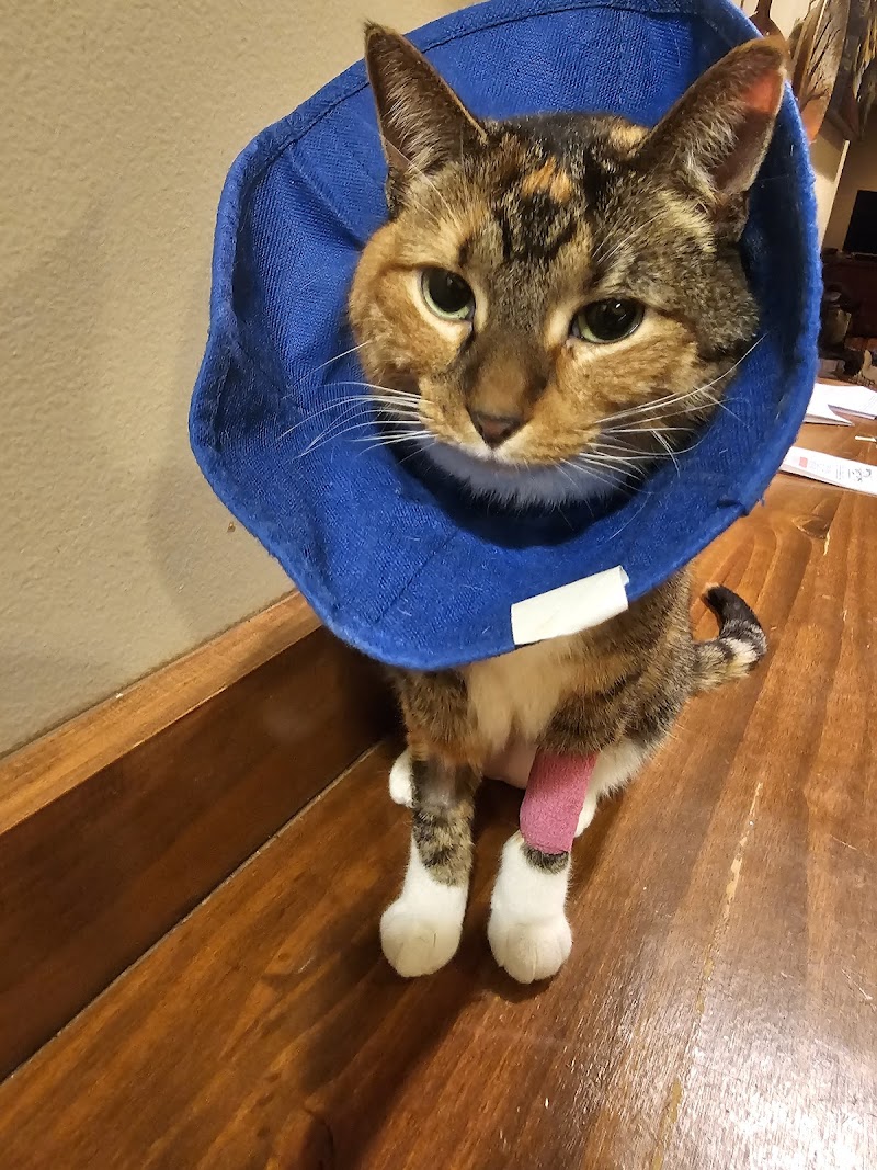 Mission Animal Hospital