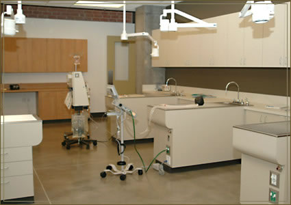 City of Angels Veterinary Specialty Center