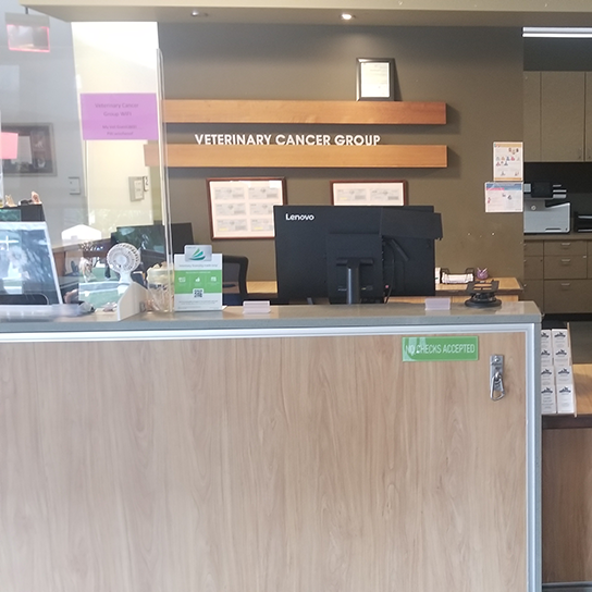 Veterinary Cancer Group of Los Angeles