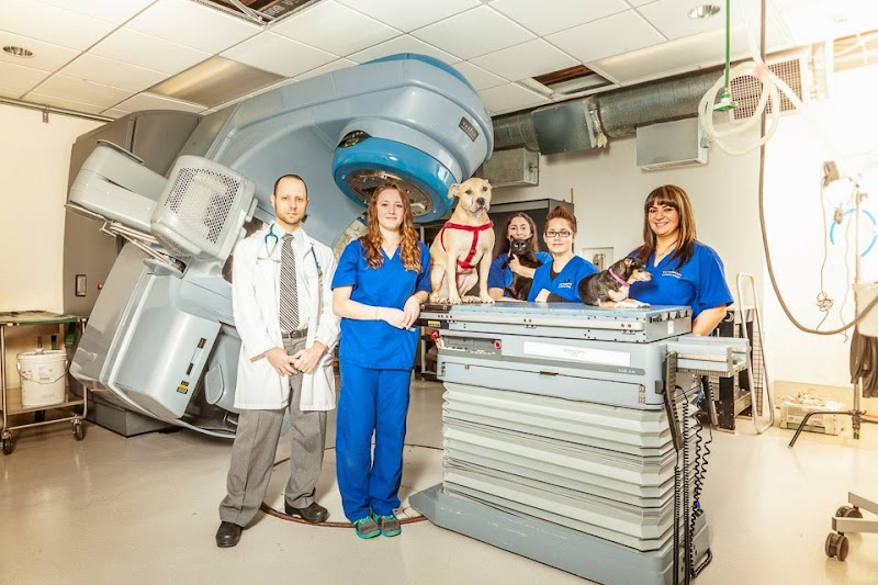 Veterinary Cancer Group of Los Angeles
