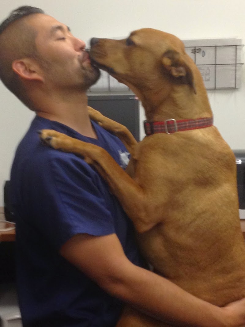 Southern California Veterinary Imaging