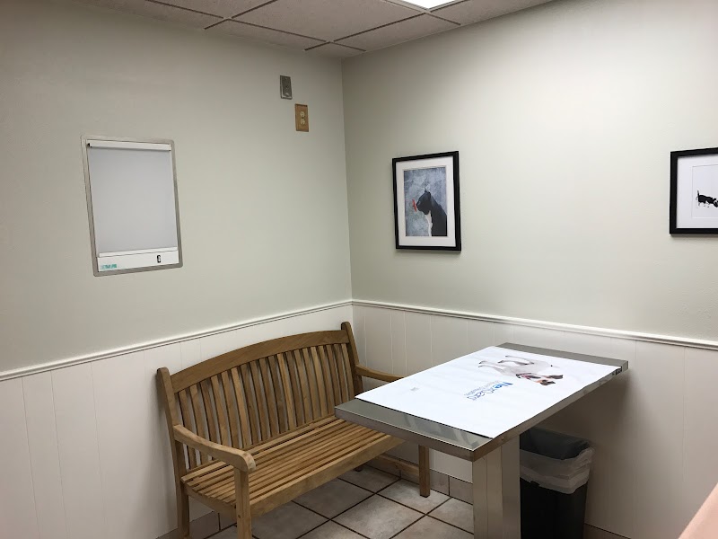 Warm Springs Pet Hospital
