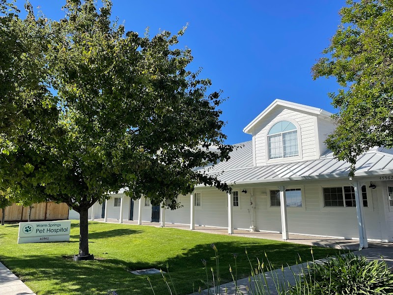 Warm Springs Pet Hospital - Fremont