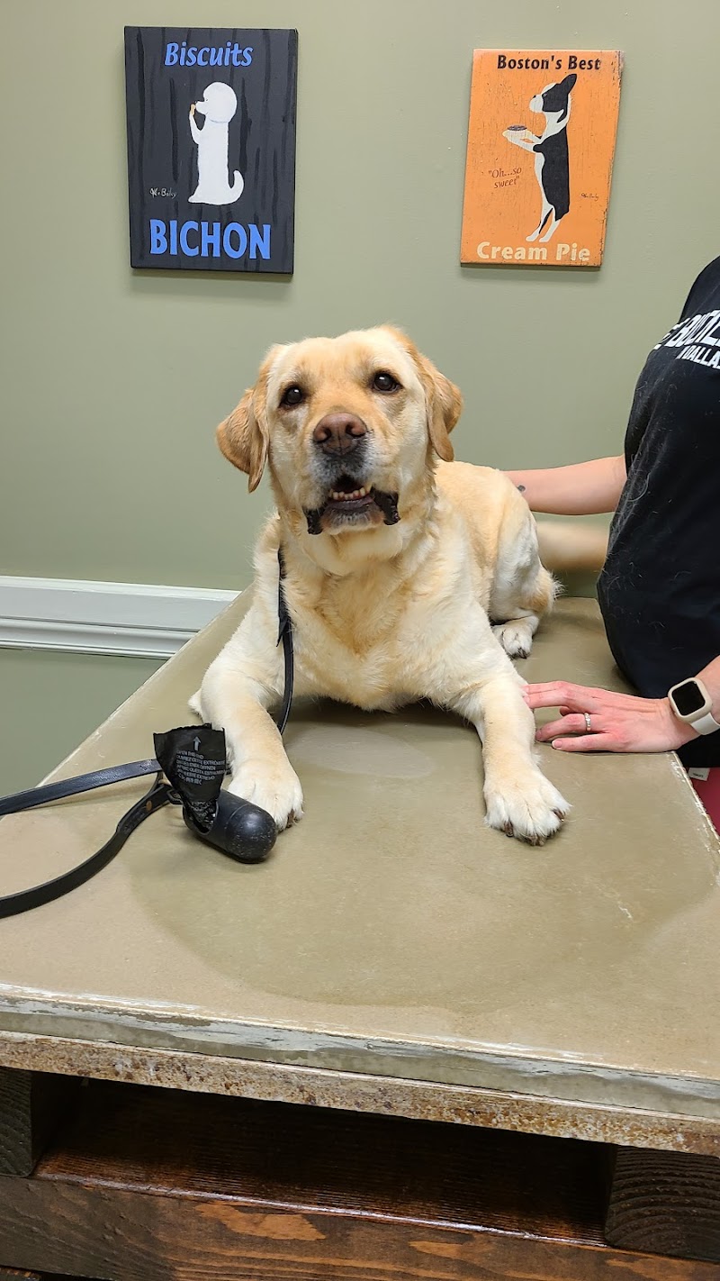Marietta Vet Clinic