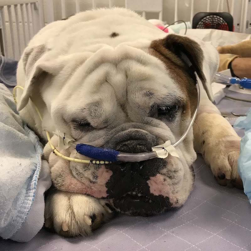 The Ohio State University Veterinary Medical Center