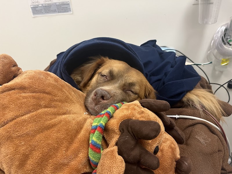The Ohio State University Veterinary Medical Center