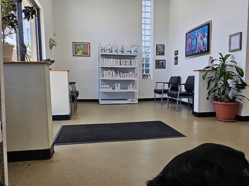 Porter Square Veterinarian