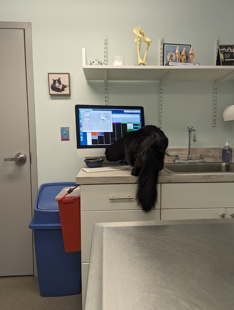 Porter Square Veterinarian - Somerville