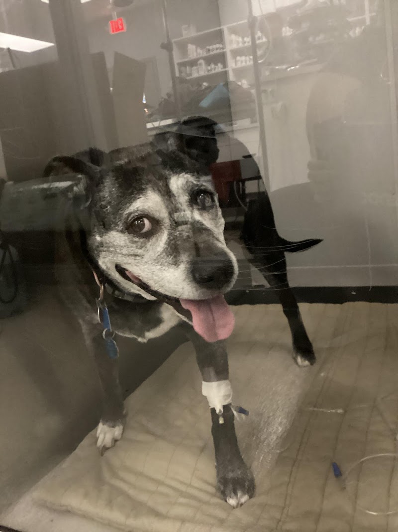 Hershey Animal Emergency Center