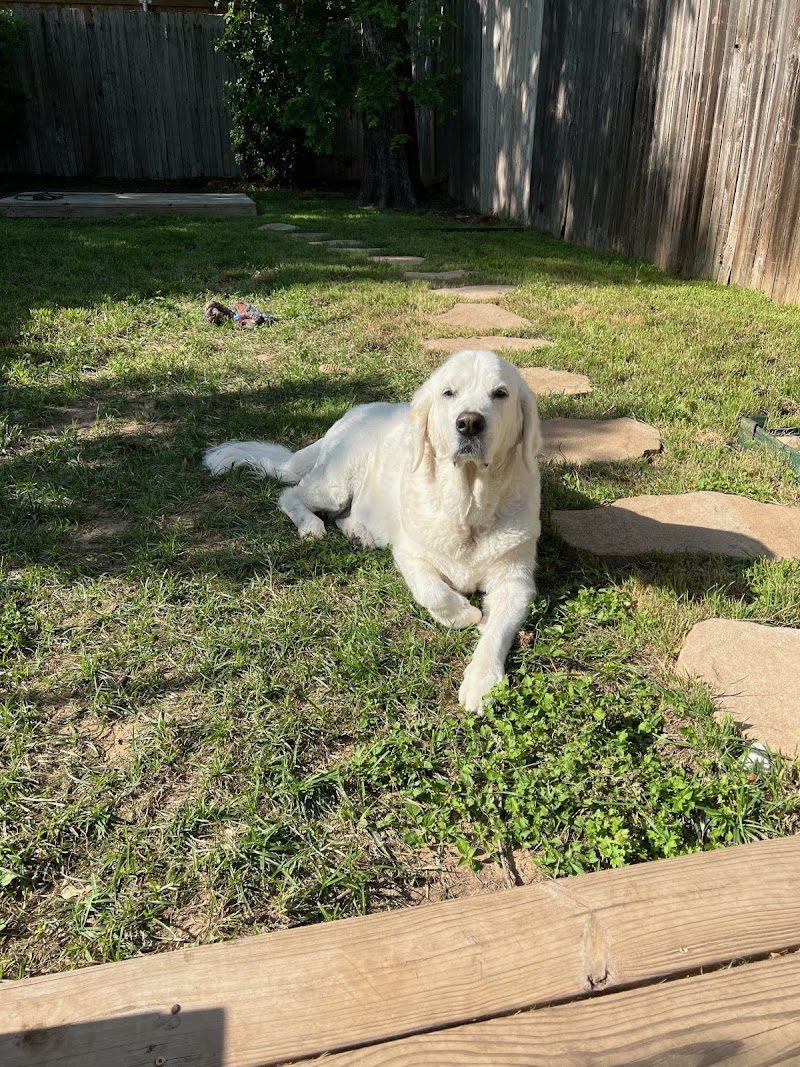 Animal Medical & Surgical Hospital of Frisco