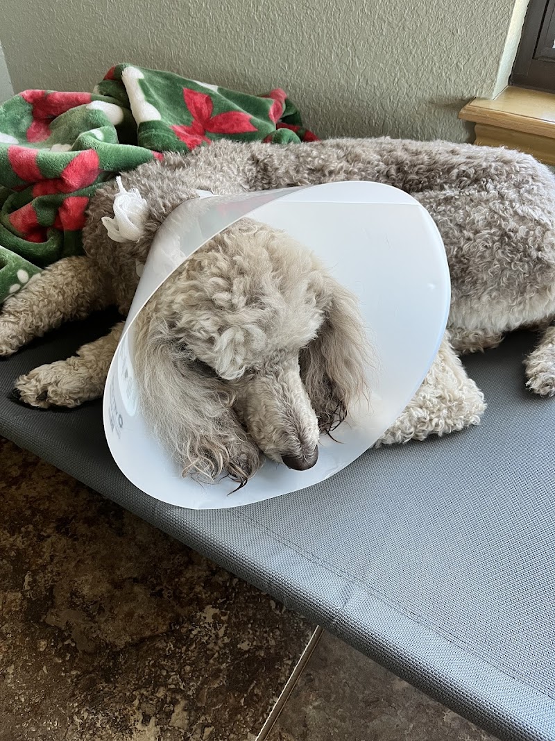 Boerne Stage Veterinary Clinic