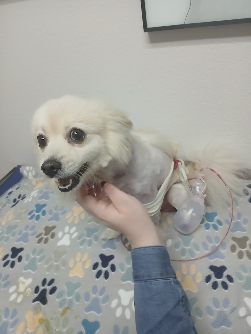 Animal Emergency Clinic of San Diego