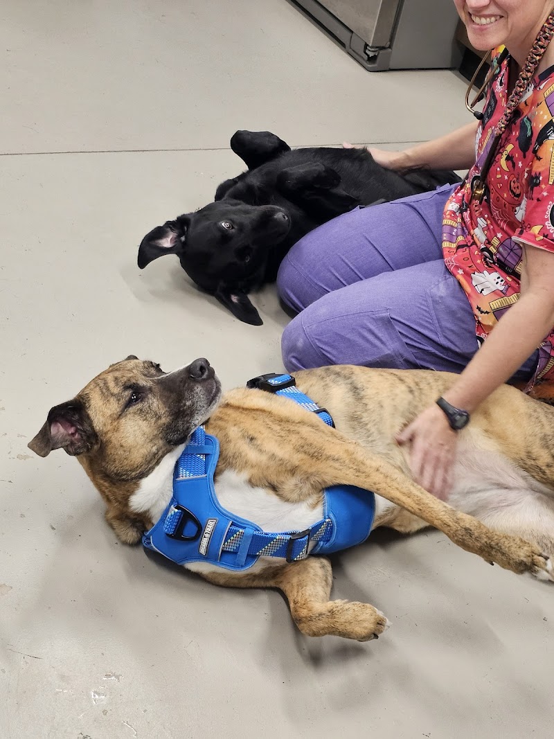 Pickaroon Animal Hospital