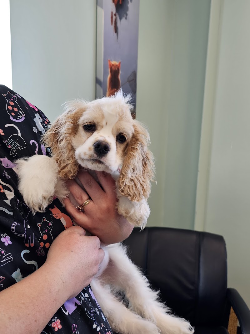 Pickaroon Animal Hospital