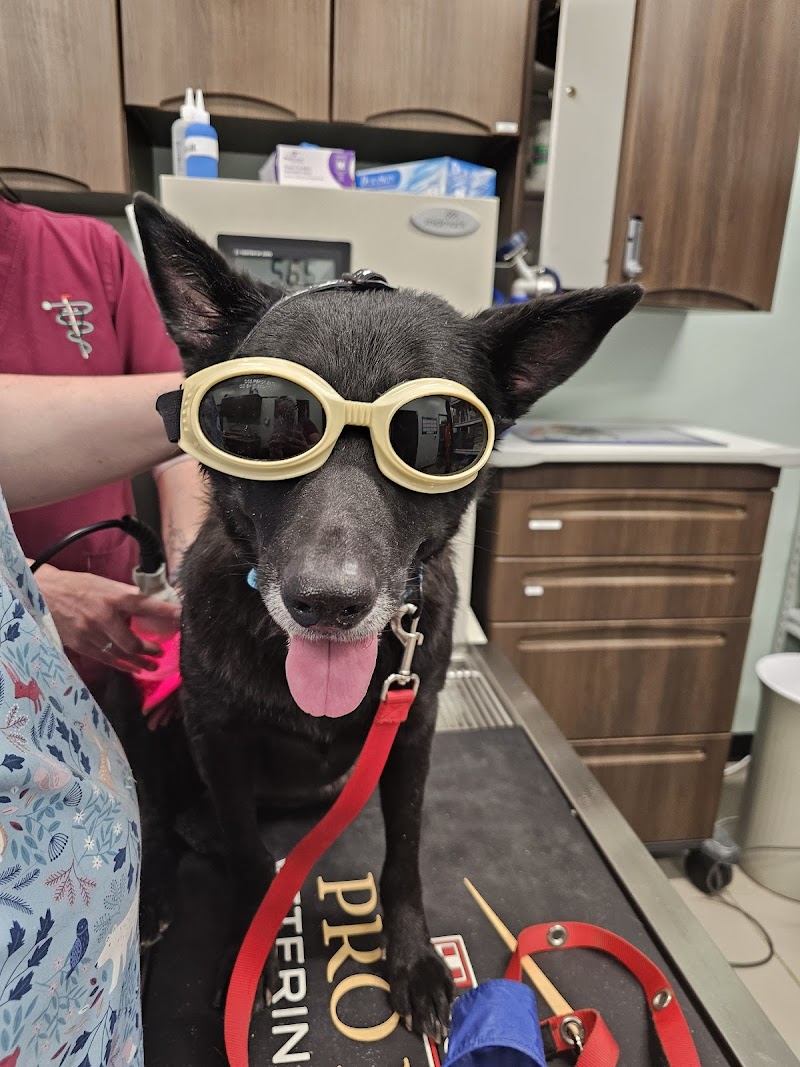 Pickaroon Animal Hospital