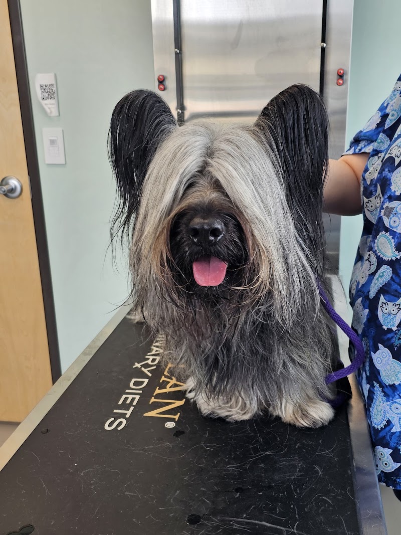 Pickaroon Animal Hospital