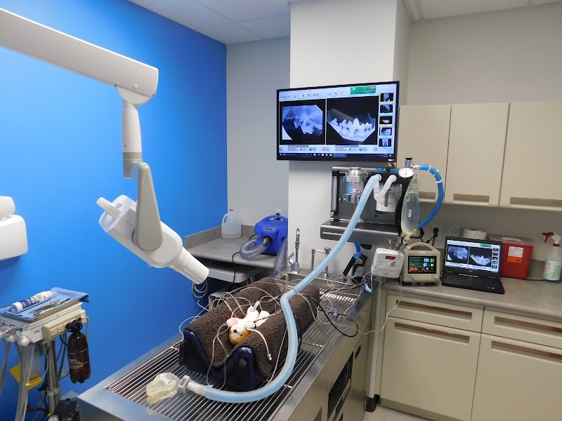 Great Northwest Animal Hospital