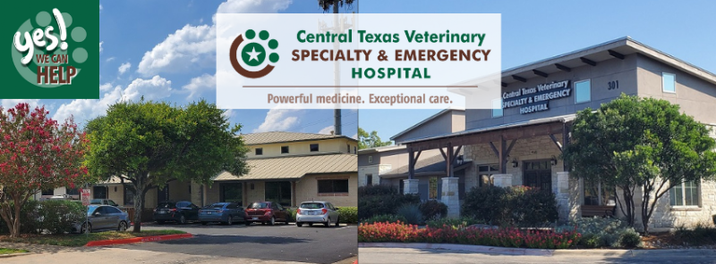 Central Texas Veterinary Speciality and Emergency Hospital- Round Rock - Austin