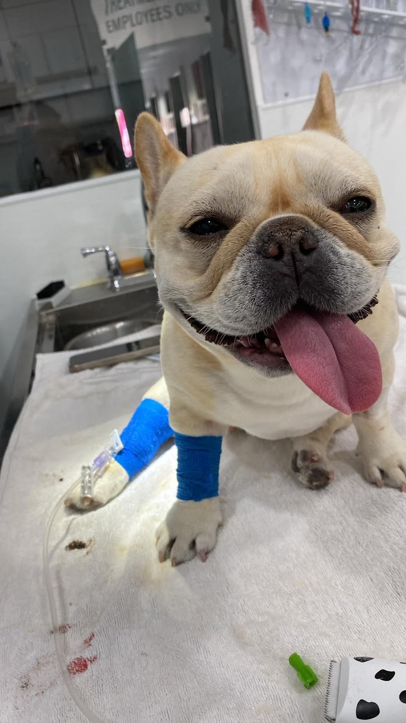 Veterinary Medical Center