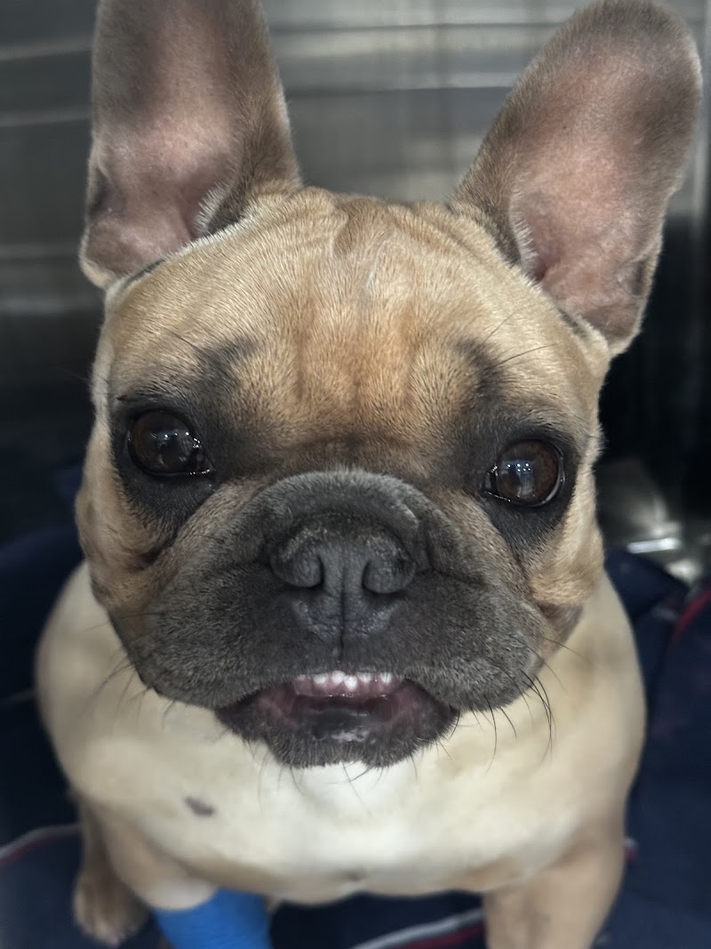 Veterinary Medical Center