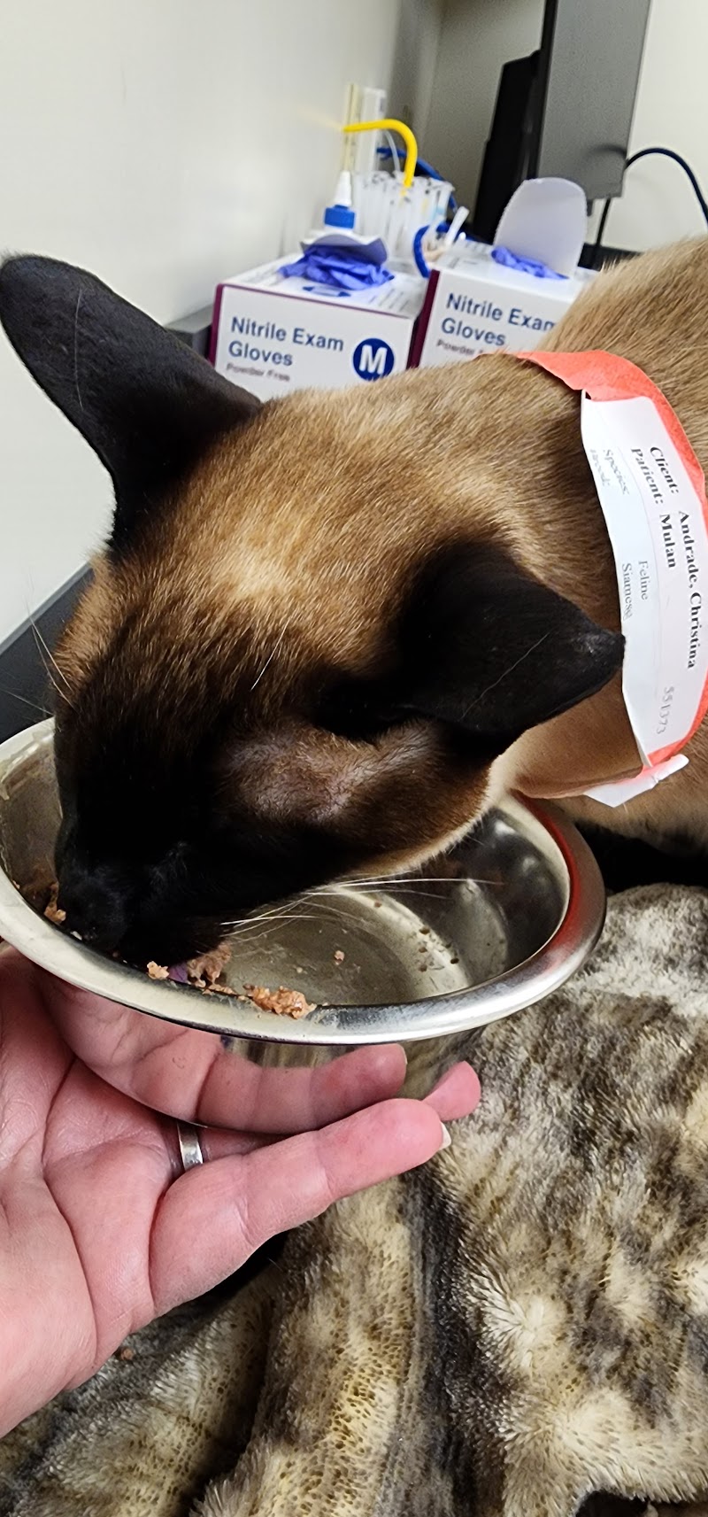 Tufts Veterinary Emergency Treatment & Specialties