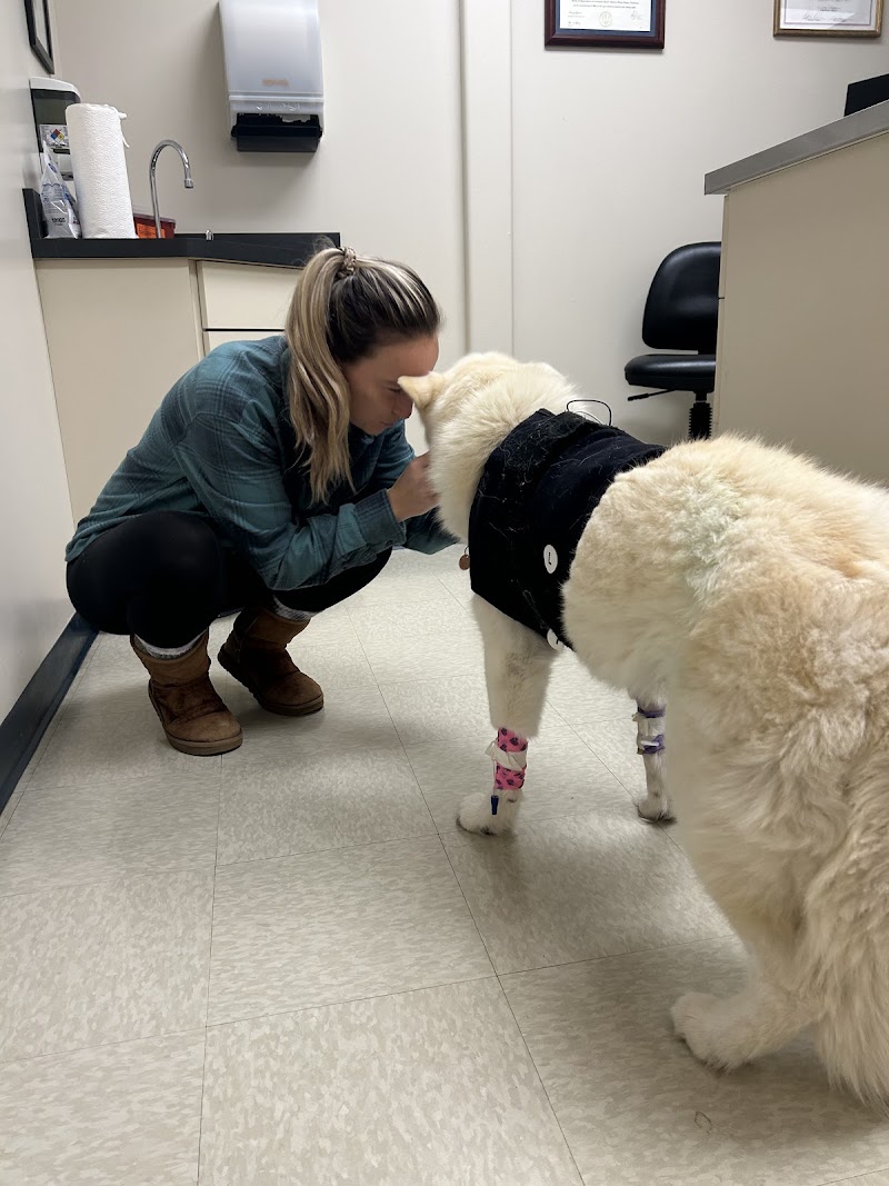 Tufts Veterinary Emergency Treatment & Specialties